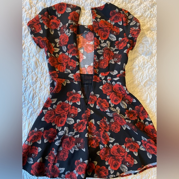 Forever 21 Roses Dress - Picture 5 of 7